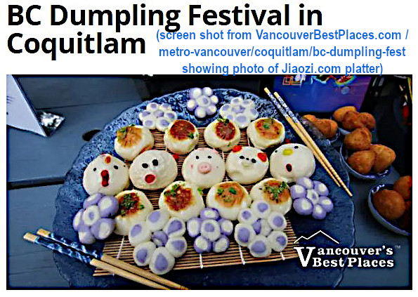 Jiaozi.com dumpling platter used in 2023 & 2024 promos of Dumpling Festival